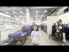 Jedec Trays Werkplaats voor de verwerking van schimmel